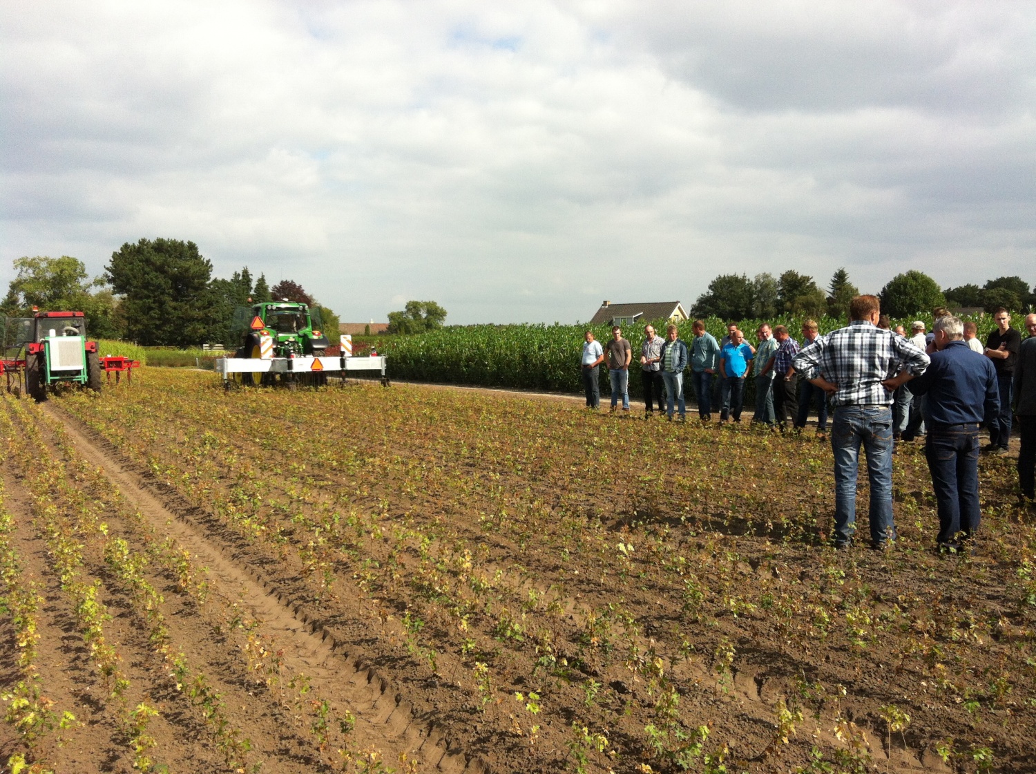 Wetgeving beïnvloedt onkruidbeheersing