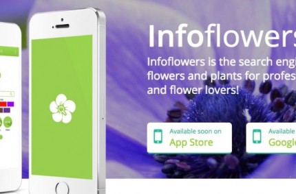 ‘Bloemenbureauboekjes’ als app